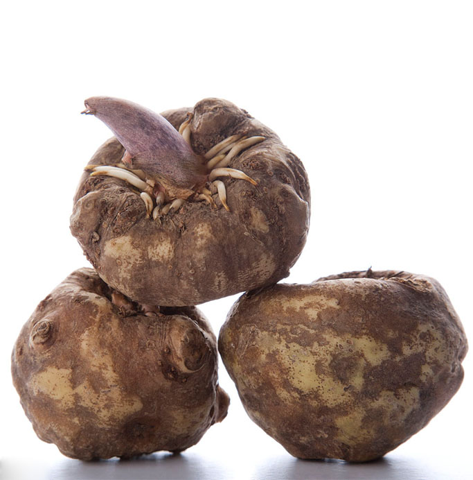 魔芋是什么？